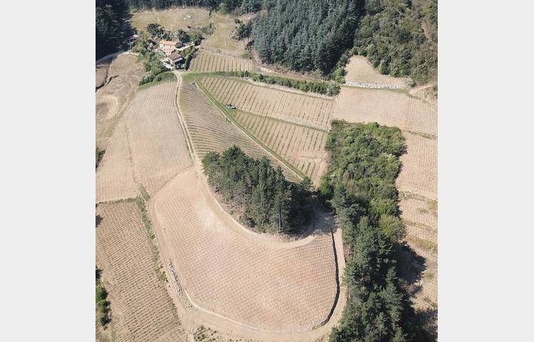image de Domaine Johann Michel