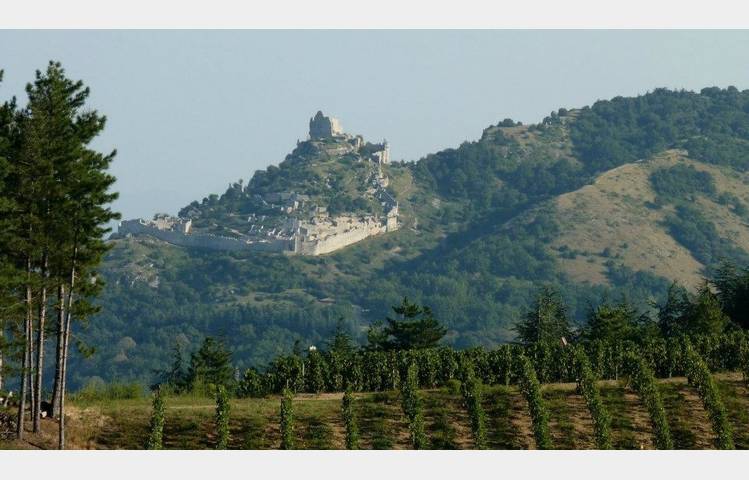 image de Domaine Johann Michel