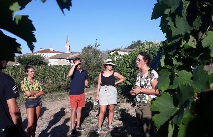 Photo of Domaine Verset A et E