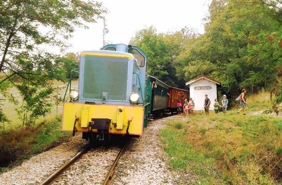 Take the steam train to the market
