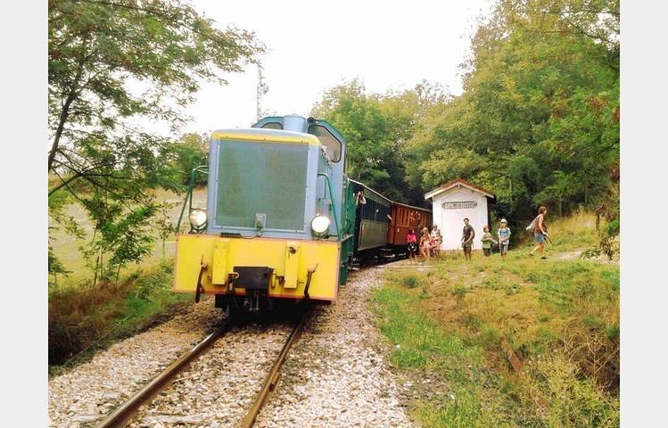 image de Take the steam train to the market