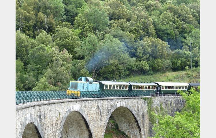 image de Take the steam train to the market