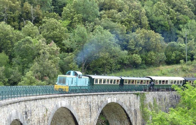 Photo of Take the steam train to the market