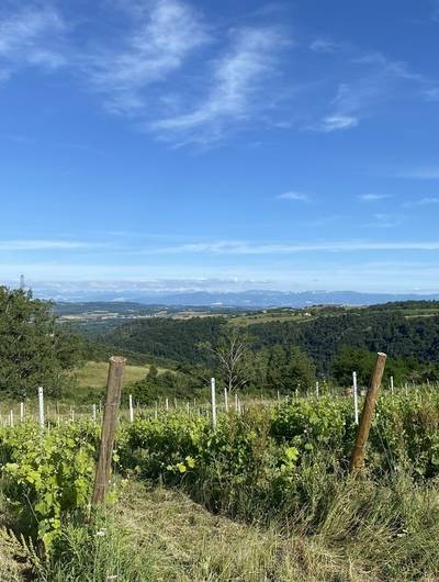 img-rando-wine-les-vins-de-saint-vallier