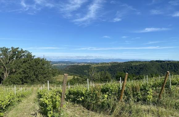 img-rando-wine-au-domaine-peychon
