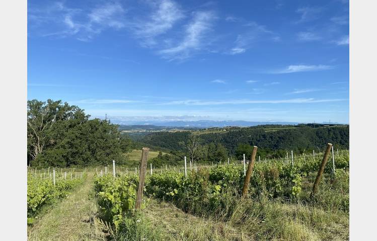 image de Rando Wine au domaine Peychon