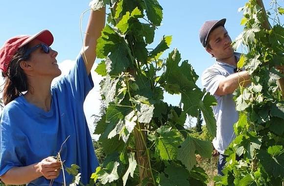 img-domaine-eymin-tichoux