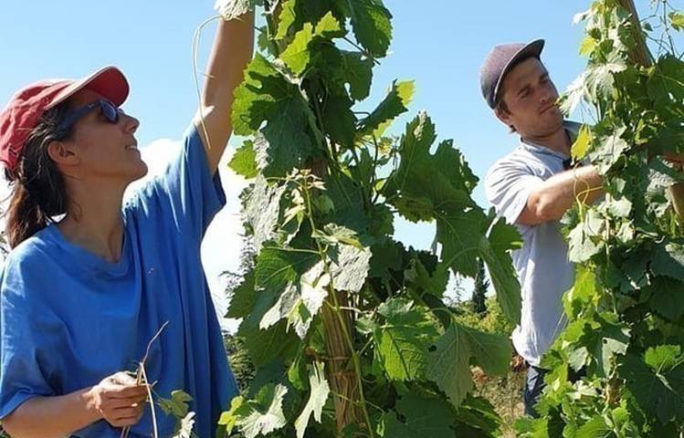 Photo of Domaine Eymin-Tichoux