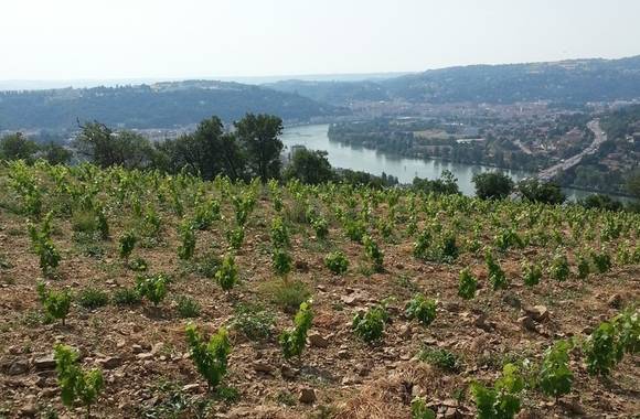 img-domaine-eymin-tichoux