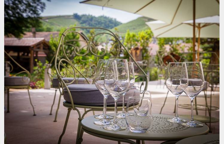 image de Dégustations de vins au Caveau du Château
