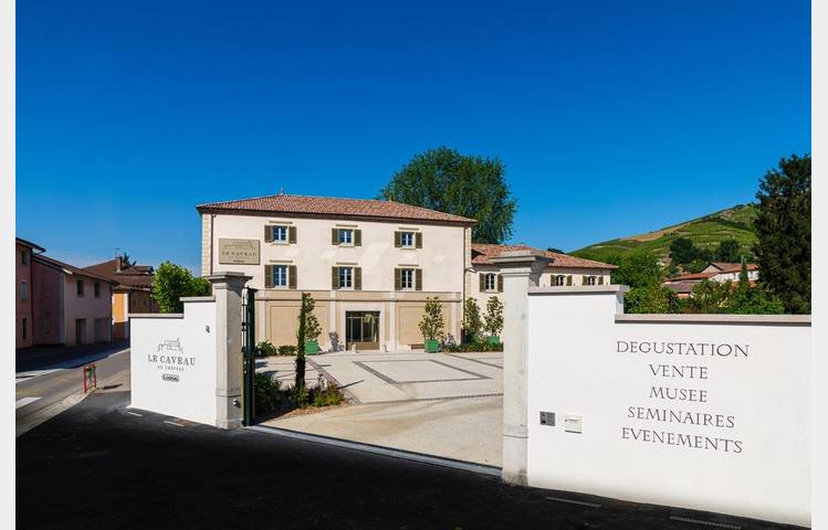 image de Dégustations de vins au Caveau du Château