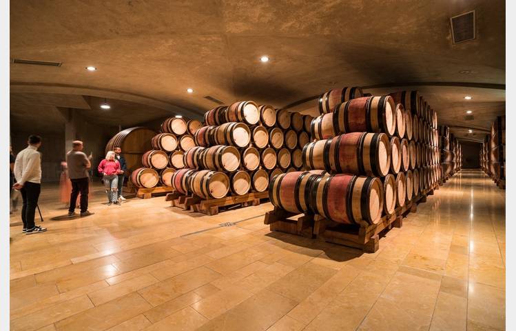 image de Dégustations de vins au Caveau du Château