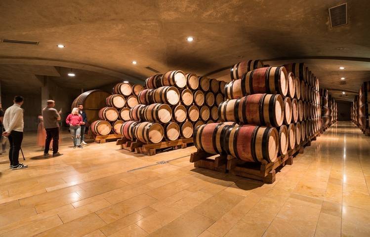 Photo of Dégustations de vins au Caveau du Château