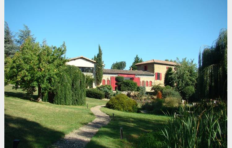 image de Les Nymphéas