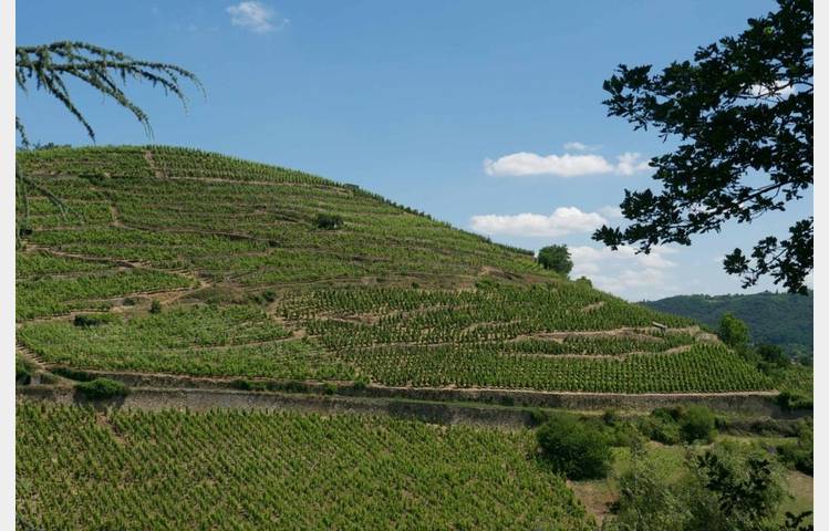 image de Domaine Niero