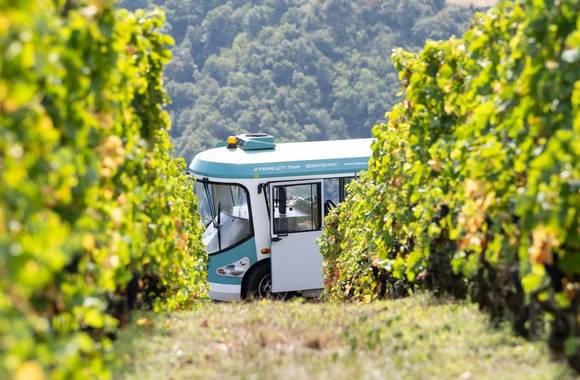 Côte-Rôtie Tour