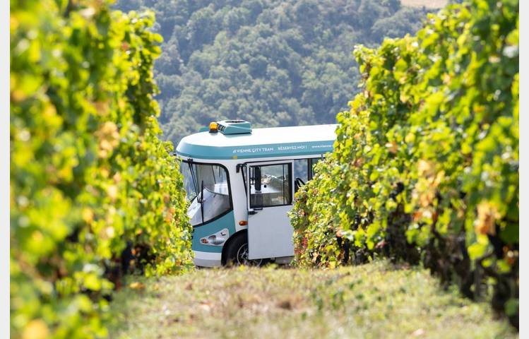 image de Côte-Rôtie Tour