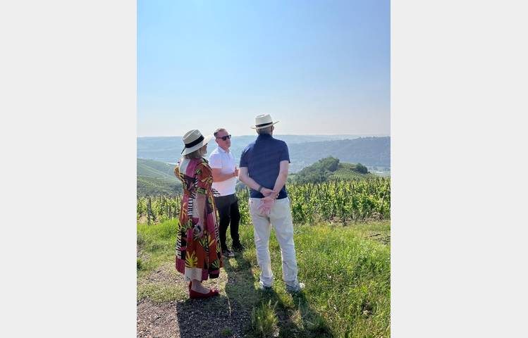 image de The roman city of côte rôtie wine