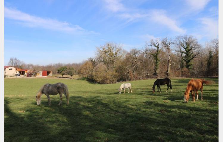 image de La Combe au Lierre