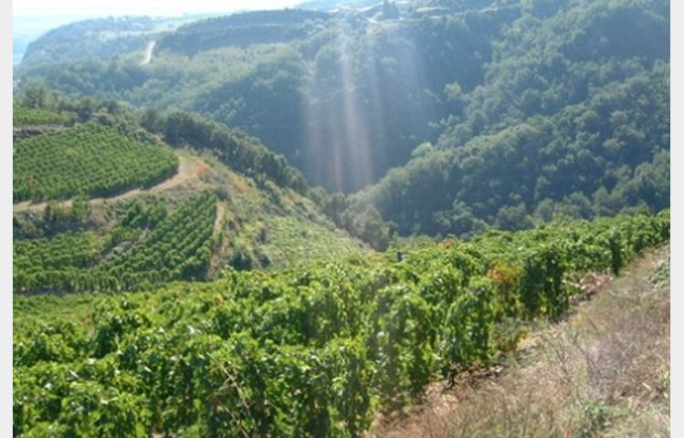 image de Domaine du Tunnel