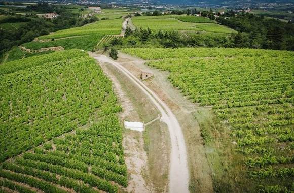 Rando Wine at Domaine Anthony Paret
