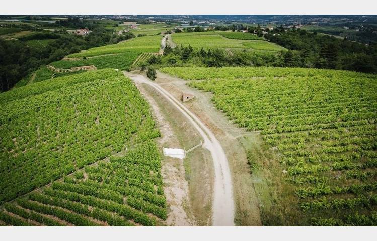 image de Rando Wine at Domaine Anthony Paret
