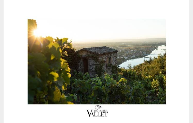 image de Domaine Vallet