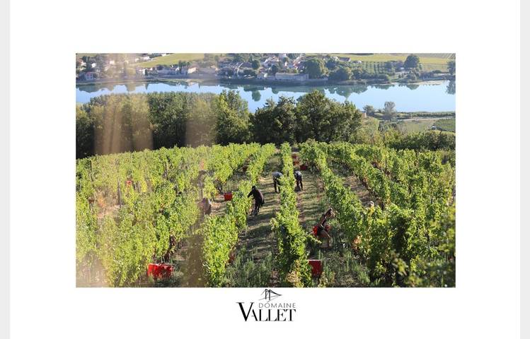 image de Domaine Vallet