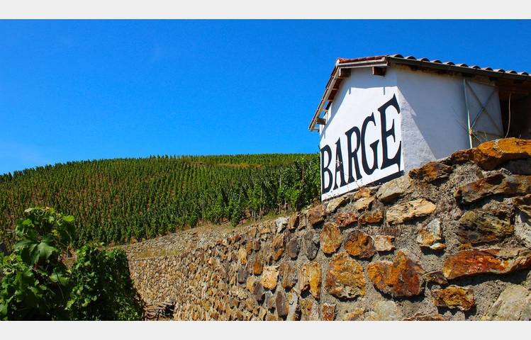image de Domaine Julien Barge
