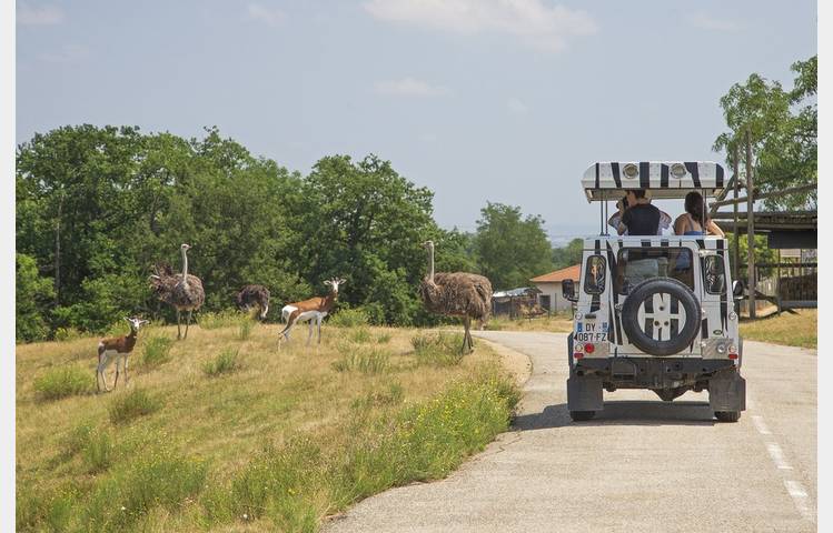 image de Safari de Peaugres