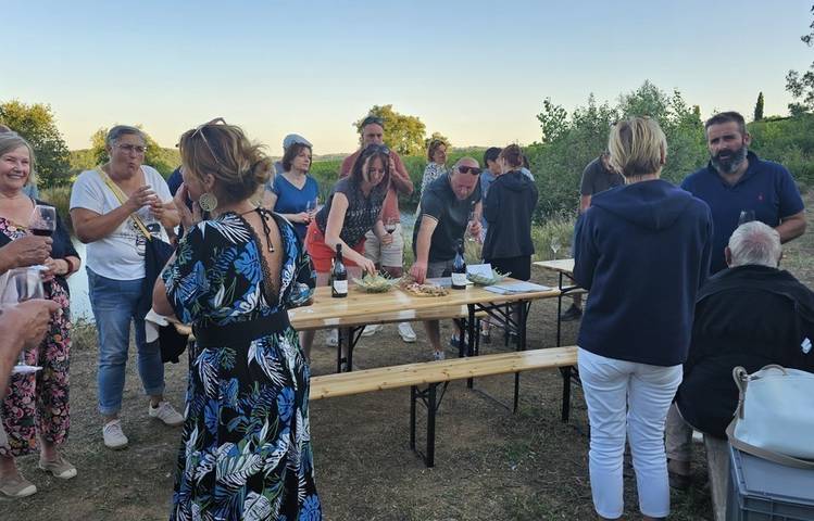 Photo of Sunset dans les vignes - Domaine Grenier