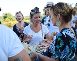 Sunset drinks in the vineyards - Domaine Grenier