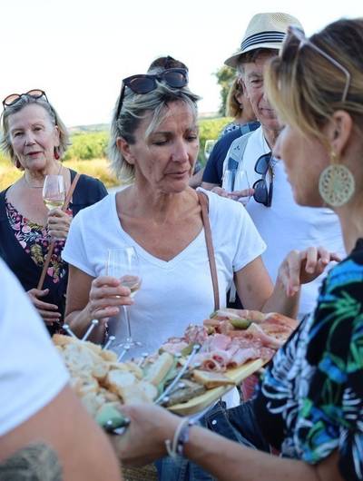 img-sunset-dans-les-vignes-domaine-grenier