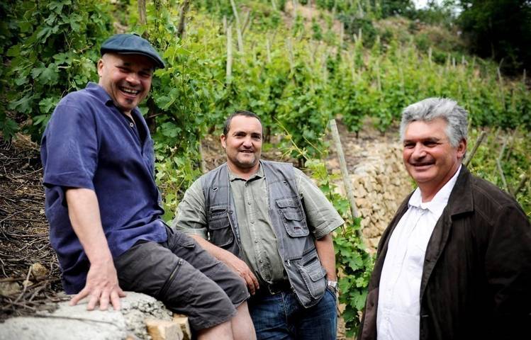 Photo of Les Vins de Vienne