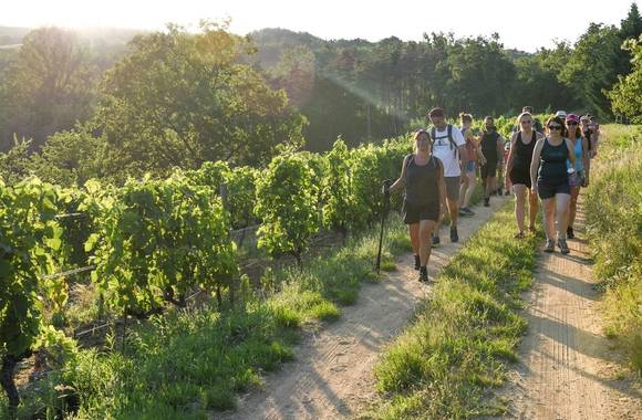 Rando wine au domaine Duclot