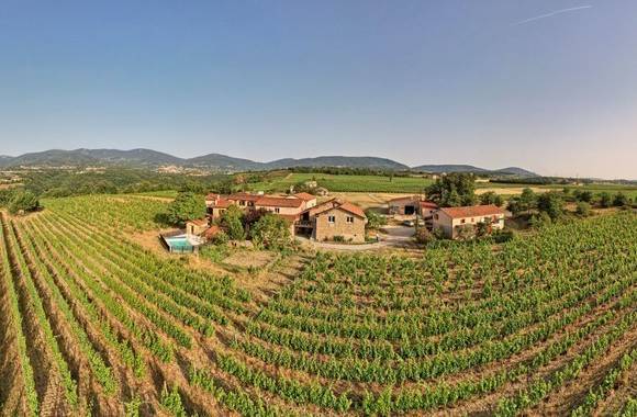 Wine Notes at Domaine Verzier