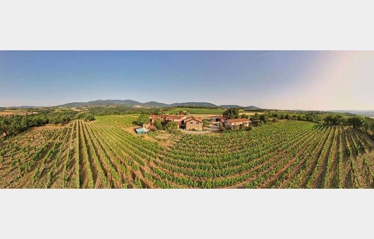 image de Wine Notes at Domaine Verzier