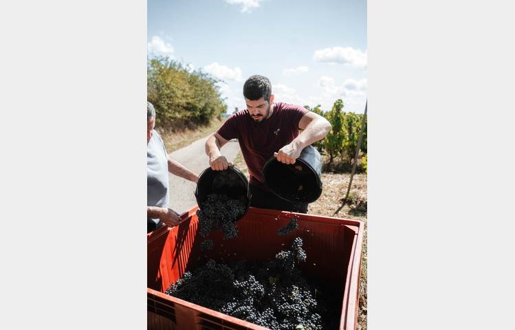 image de Domaine Clusel-Roch