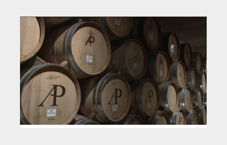 image de Domaine Anthony Paret