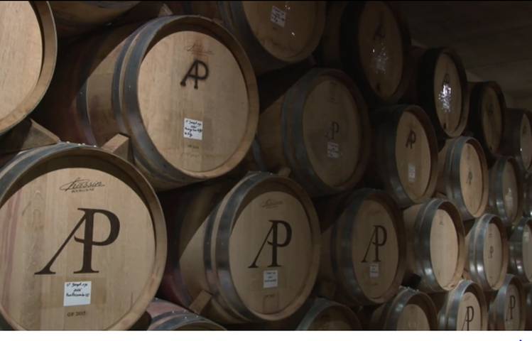 Photo of Domaine Anthony Paret