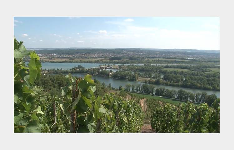 image de Domaine Anthony Paret