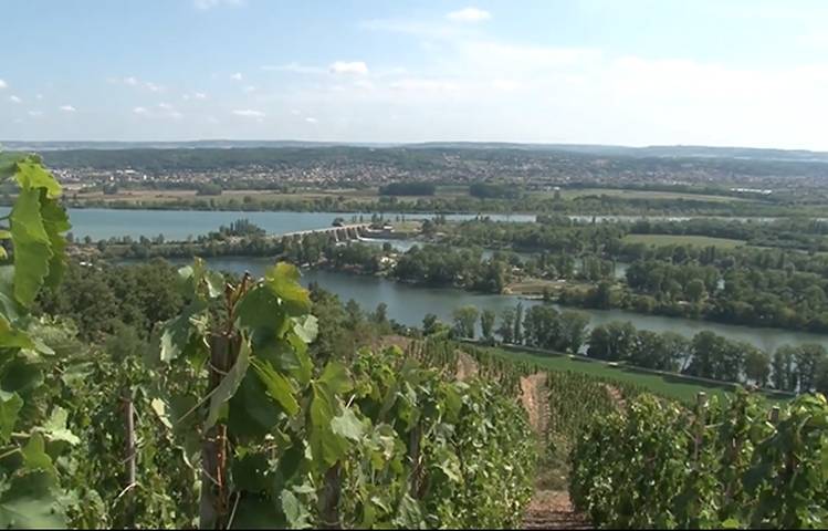 Photo of Domaine Anthony Paret