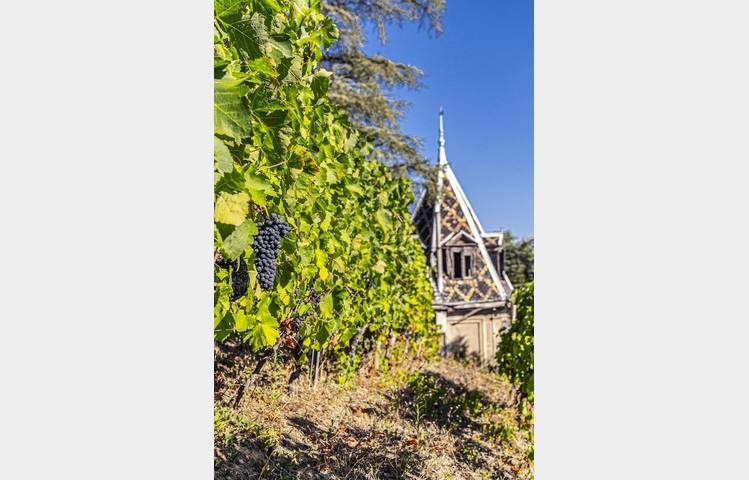 image de Domaine Lionel Faury