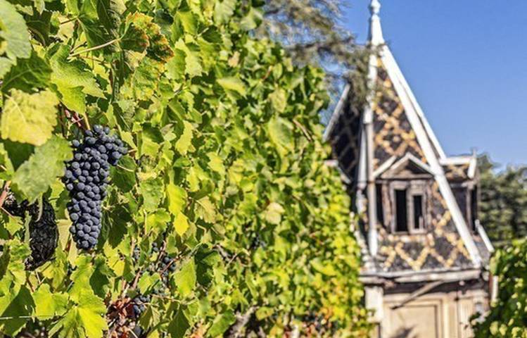 Photo of Domaine Lionel Faury