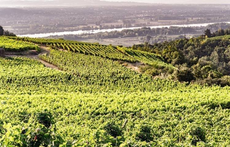 Photo of Domaine Lionel Faury