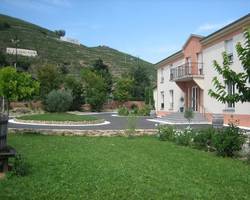 Le Domaine des Vignes