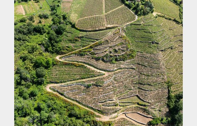 image de Mouton Père & Fils