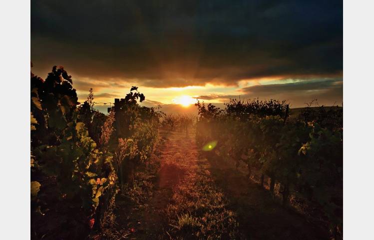 image de Domaine Finon