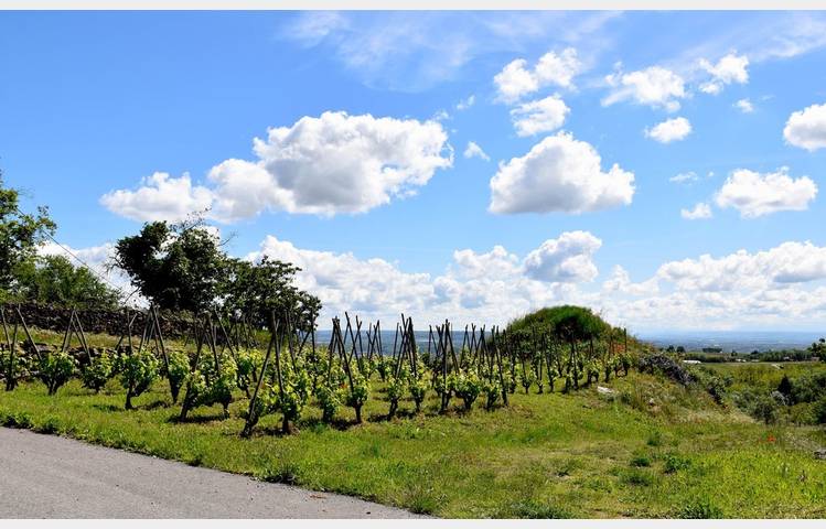 image de Domaine Finon