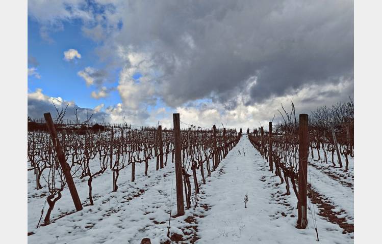 image de Domaine Finon